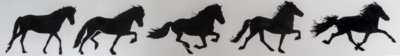 Karlslund 5 Gaits Car/Trailer Sticker