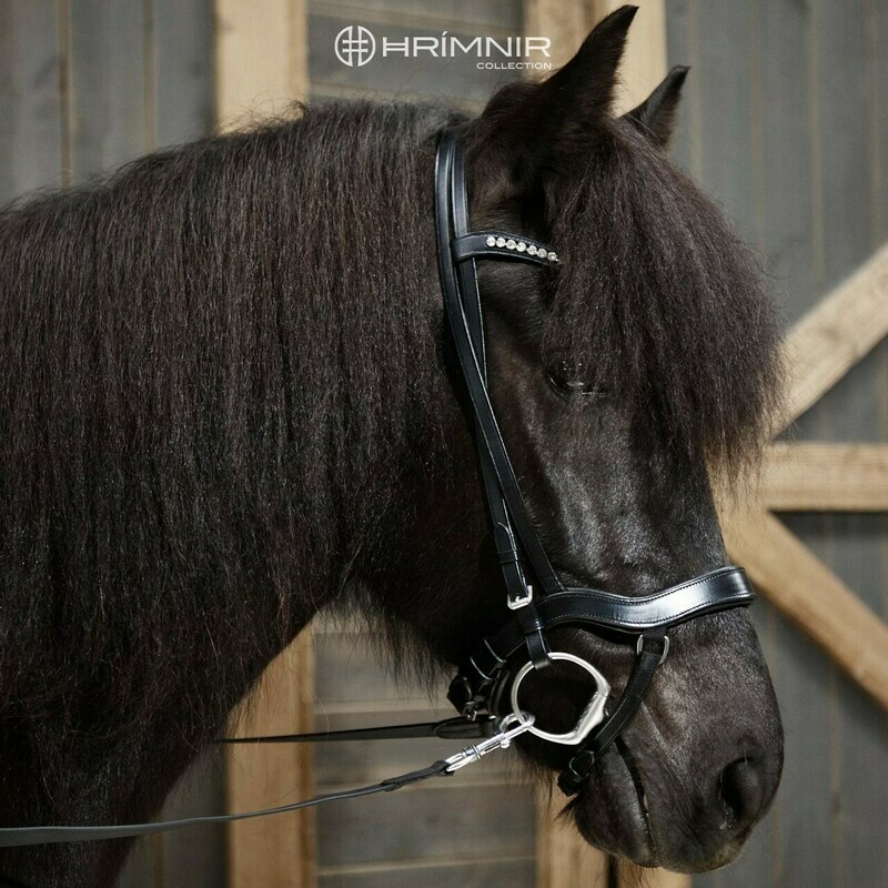 Hrimnir Anatomical Noseband