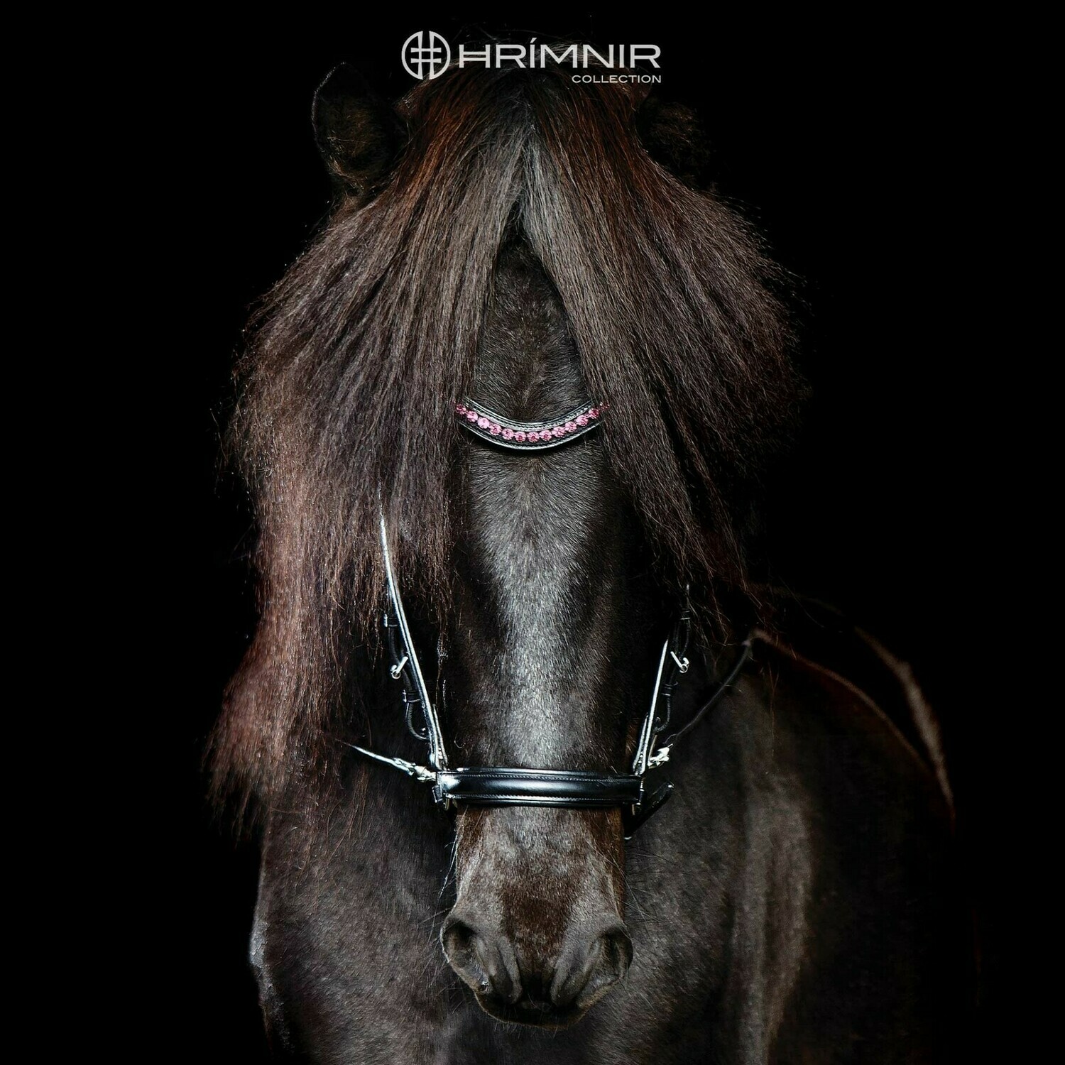 Hrimnir Headstall Classic Rosa
