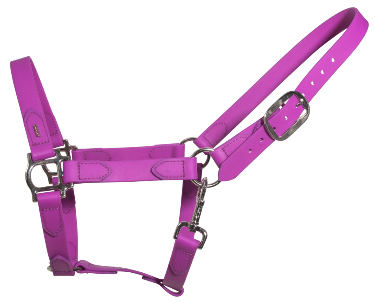 Karlslund SuperStrap Halter - Purple Karlslund SuperStrap Halter - Purple
