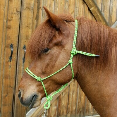 Multi-coloured Rope Halter - Fundraiser Multi-coloured Rope Halter - Fundraiser