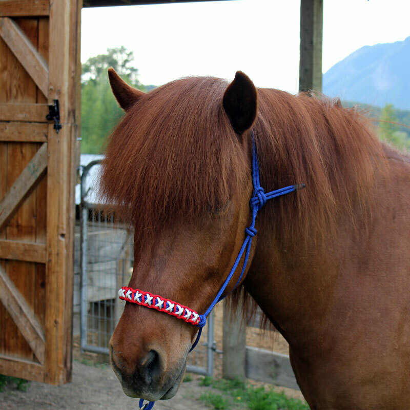 Rope Halter w/Noseband