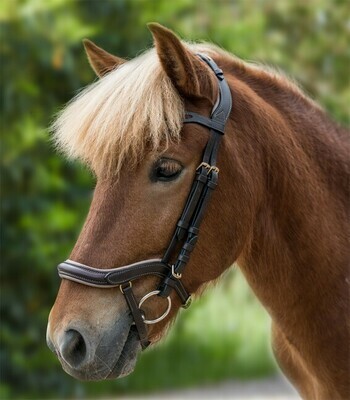 Waldhausen Anatomical Icelandic Bridle