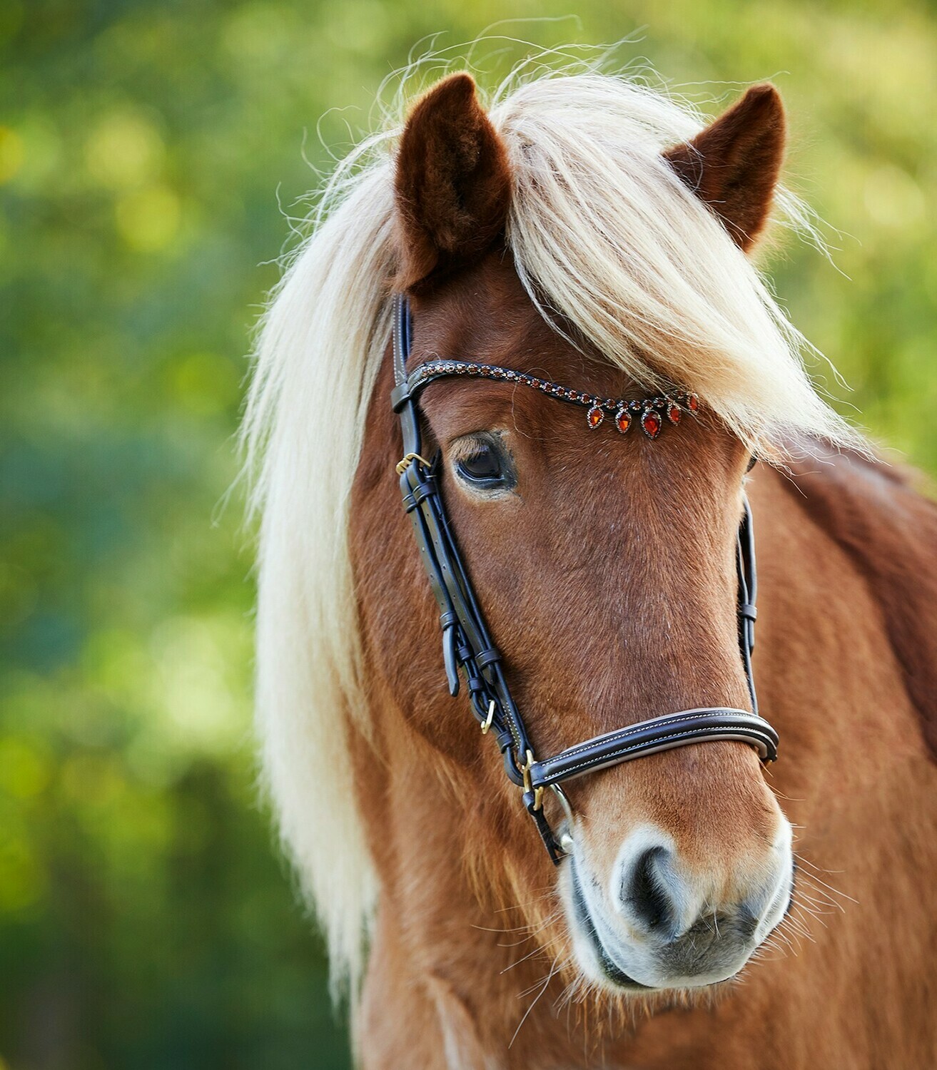 Waldhausen Ice Crystal Icelandic Bridle