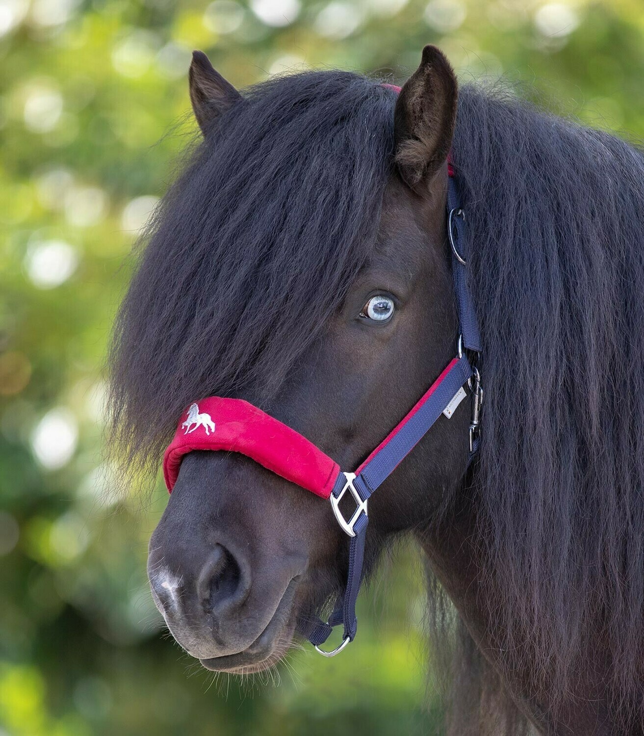 Waldhausen Hellnar Halter