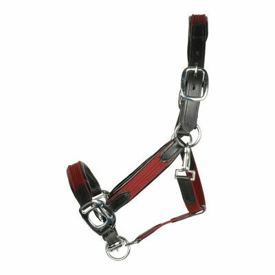 Waldhausen Star Mix Breakaway Halter Waldhausen Star Mix Breakaway Halter