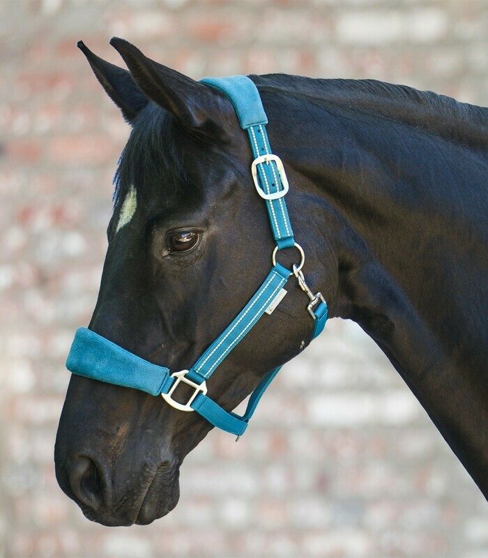 Waldhausen Alcantara Halter