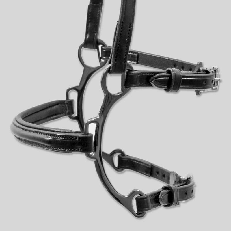 Top Reiter Combination Lever Noseband