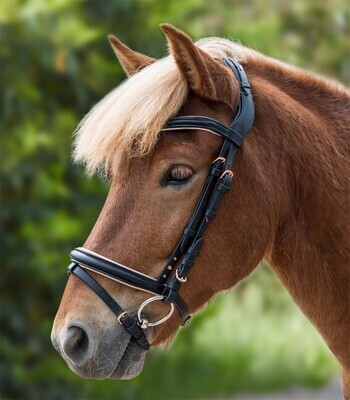 Waldhausen Rose Icelandic Bridle