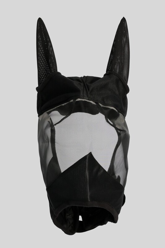 Top Reiter Headpiece for Eczema