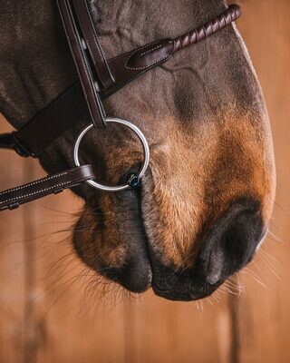 Fager - OSCAR FL Titanium Loose Rings
