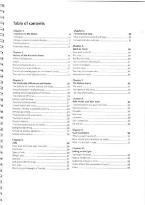 Icelandic Riding Levels 2