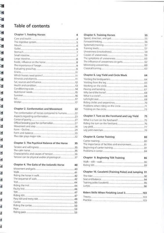 Icelandic Riding Levels 3