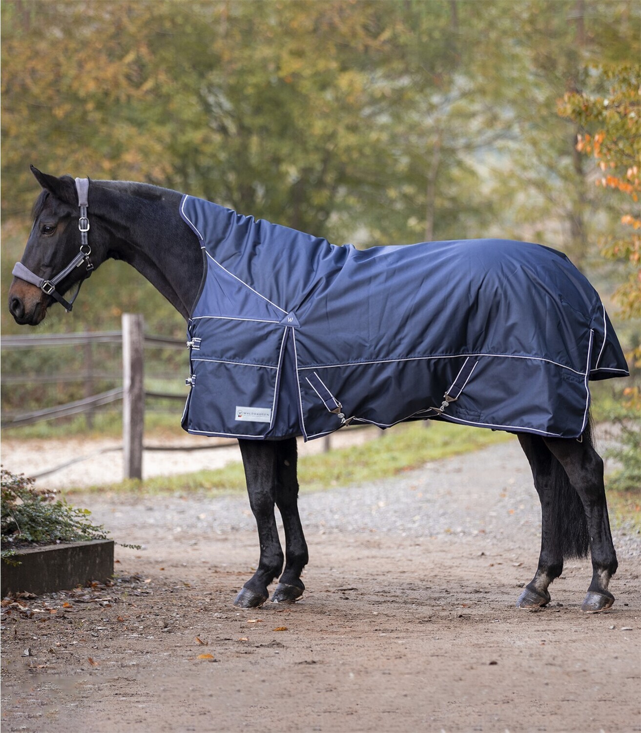 Waldhausen Premium Turnout Rug, 200 g, High Neck