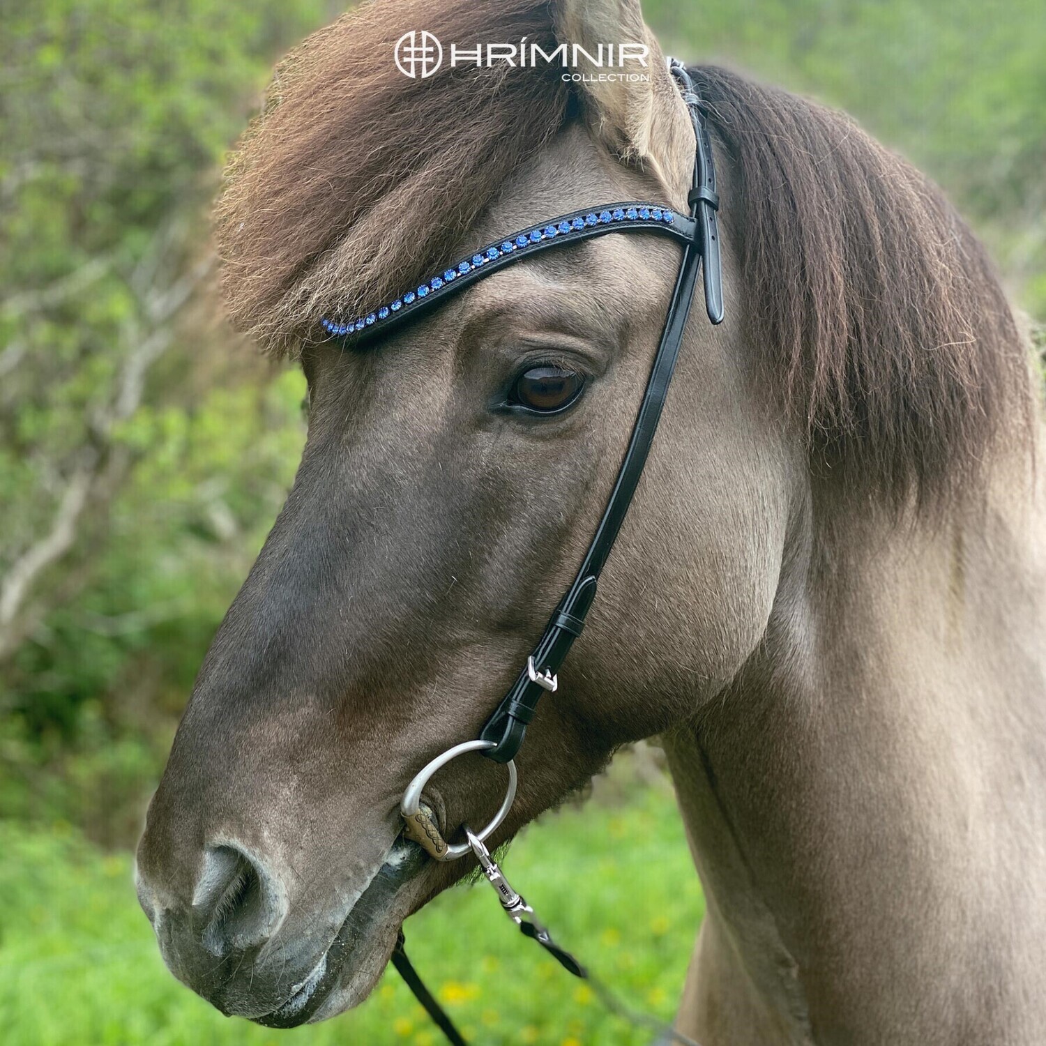 Hrimnir Headstall Classic Blue