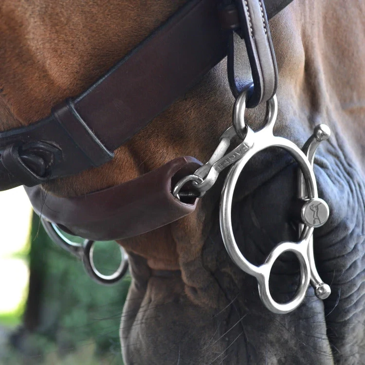 Fager - Curb Chain Guard