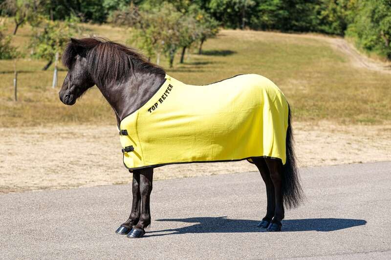 Top Reiter Fleece Rug