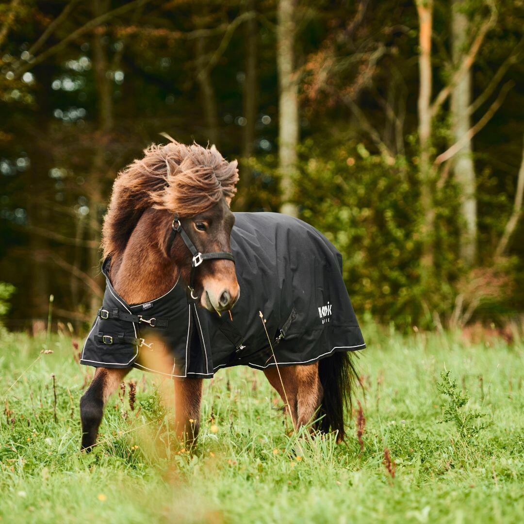 Nordic Horse Turnout Rug