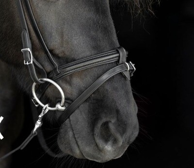 Nordic Horse Flash Noseband