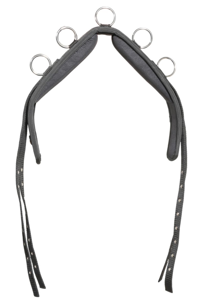 Karlslund Lungeing Girth