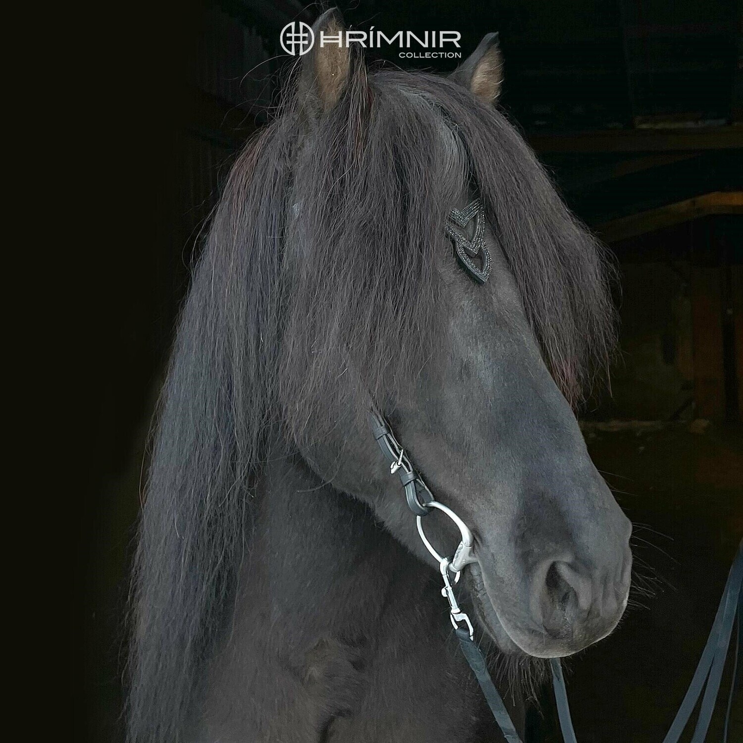 Hrimnir Headstall Heritage Unity Lava