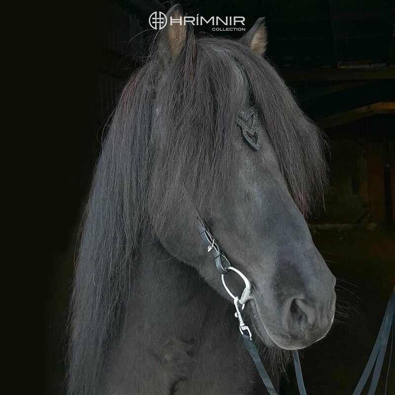 Hrimnir Headstall Heritage Unity Lava