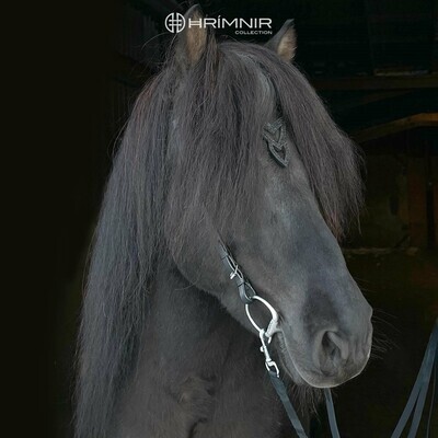 Hrimnir Headstall Heritage Unity Lava