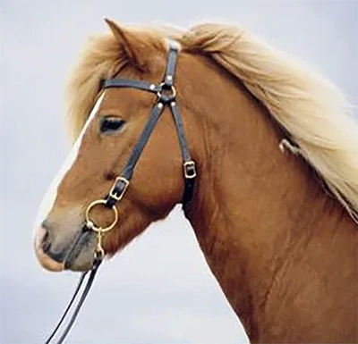 Astund Traditional Headstall
