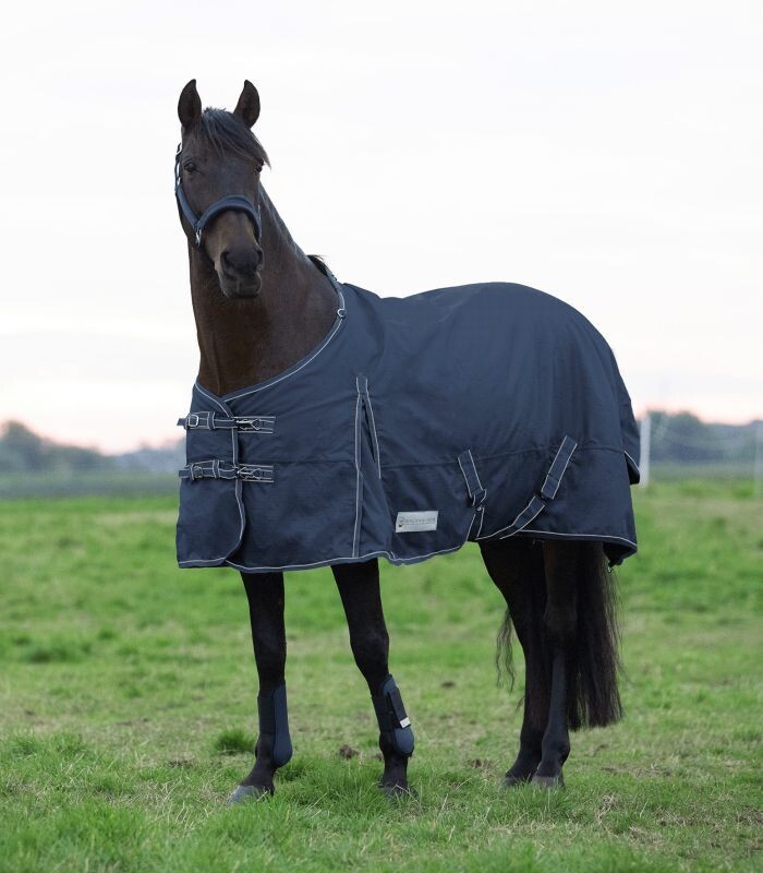 Waldhausen ECONOMIC Turnout Rug, Lightweight