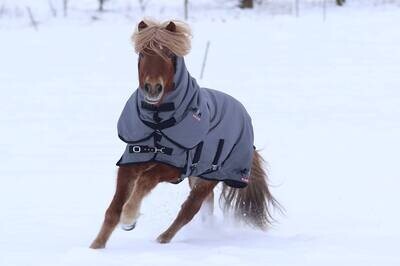 Turnout Sheets &amp; Blankets