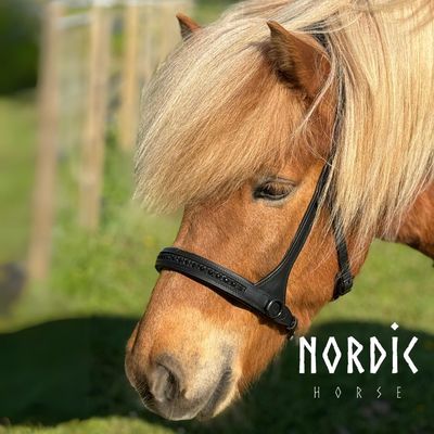 Bitless Bridles