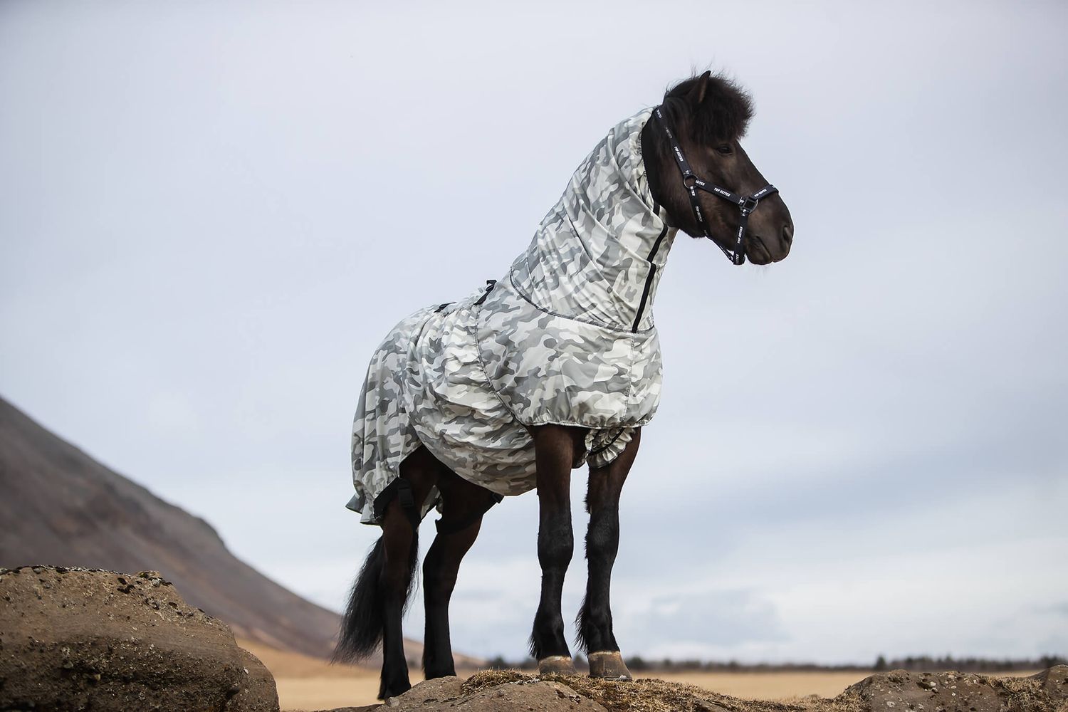 Top Reiter Eczema Blanket CAMO, Grey