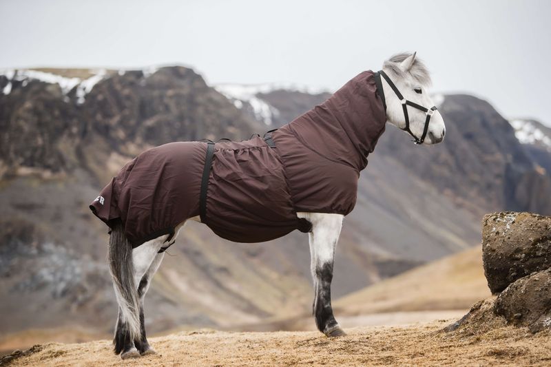 Top Reiter Eczema Blanket