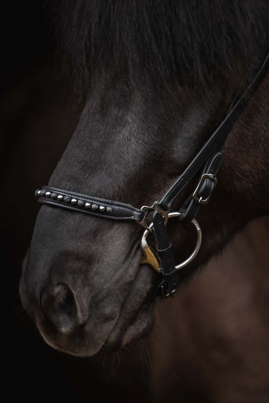 Top Reiter Bridle Set KJARKUR