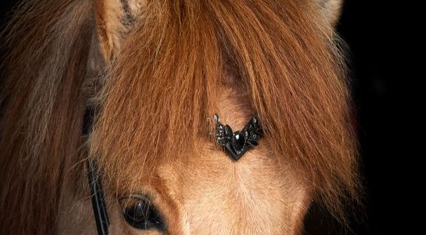 Nordic Horse Browband BLACK LEAVES