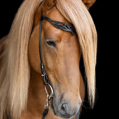 Hrimnir Heritage Headstall B, Lava