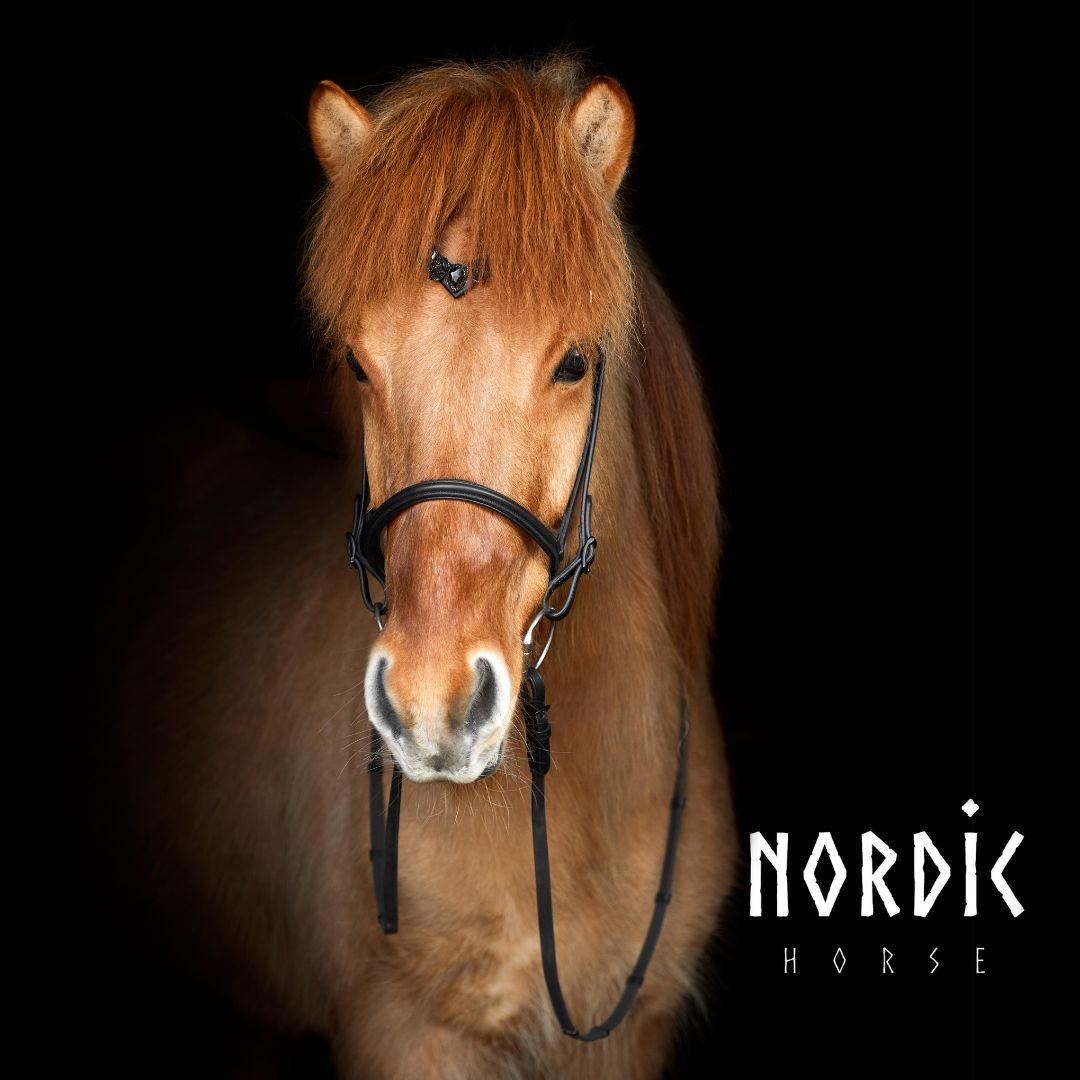Nordic Horse Headstall BLACK LEAVES