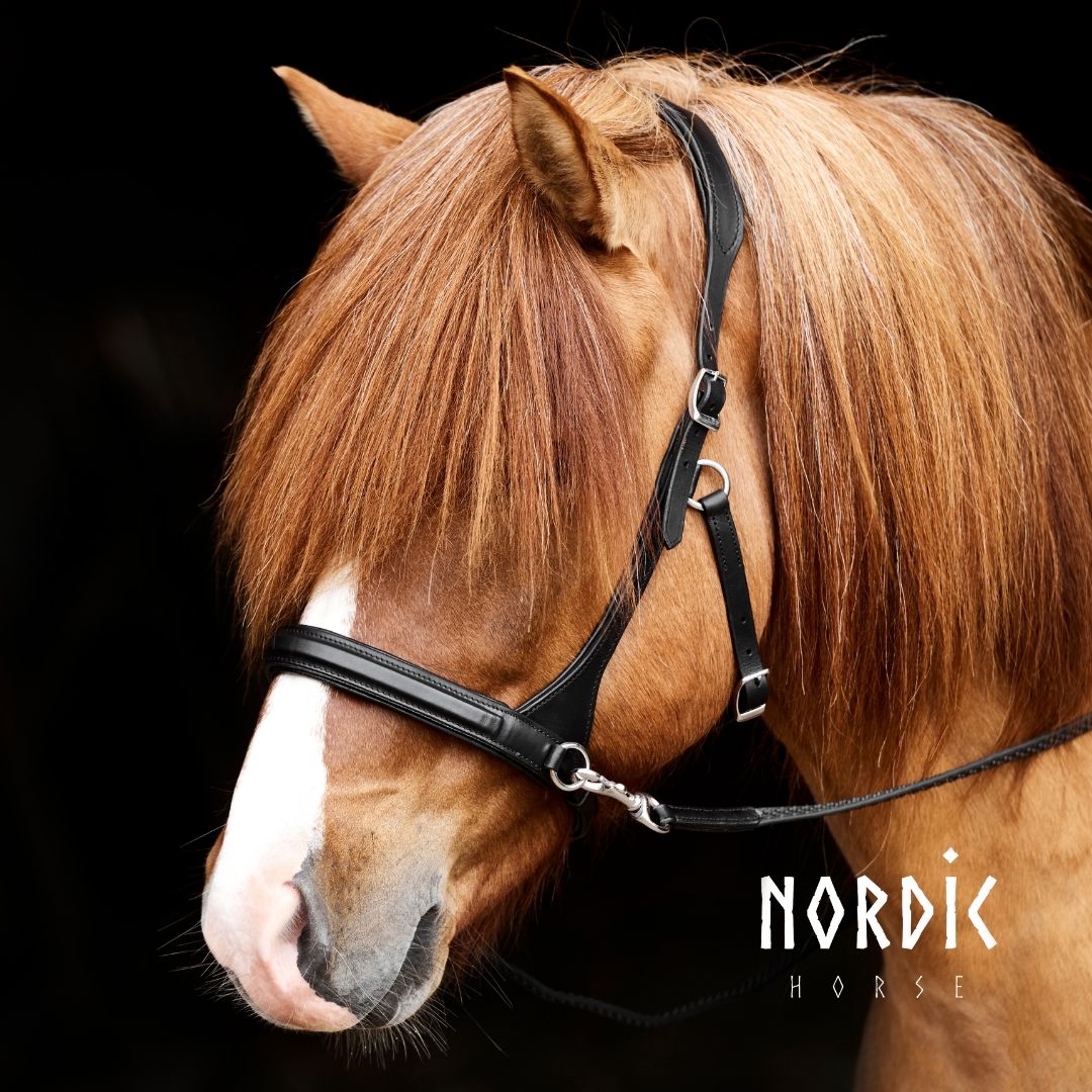 Nordic Horse Basic Sidepull