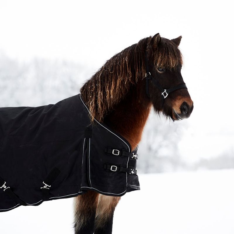 Nordic Horse Winter Rug 200 g