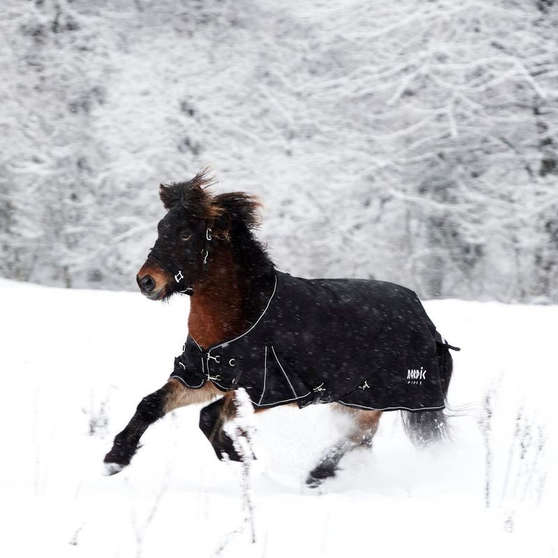 Nordic Horse Winter Rug 200 g