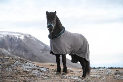 Top Reiter Fleece Rug SOFT LINE