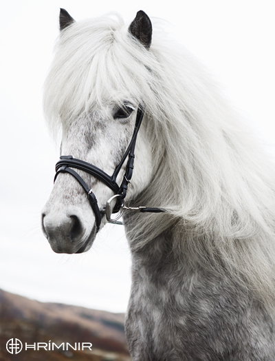 Hrímnir Flash Noseband Classic