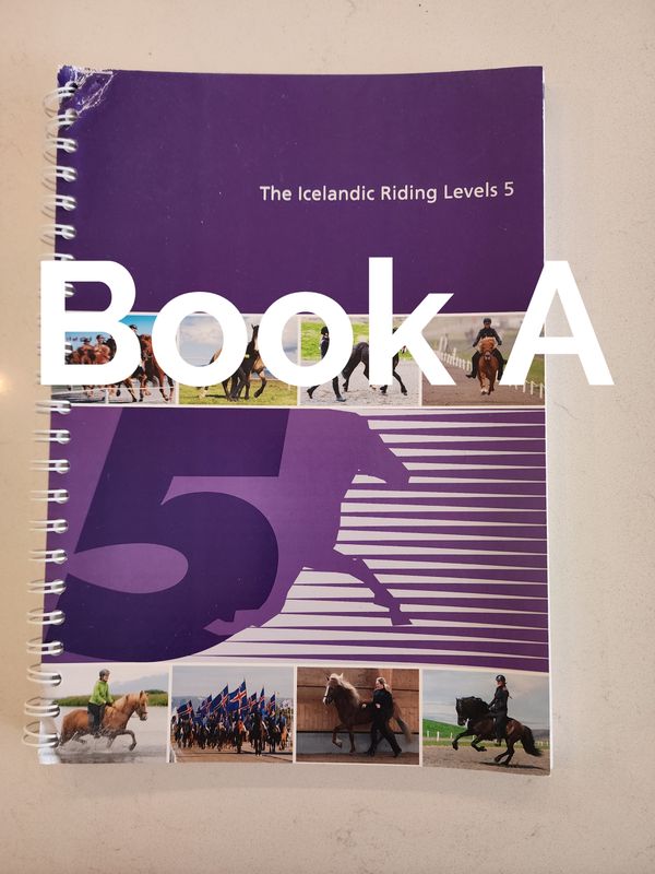 Icelandic Riding Levels 5 - damaged