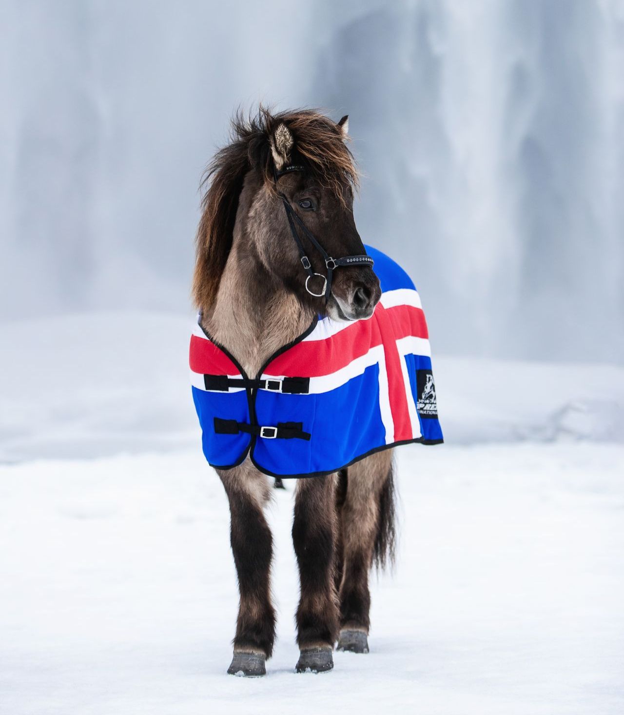 Top Reiter Fleece Rug ICELAND