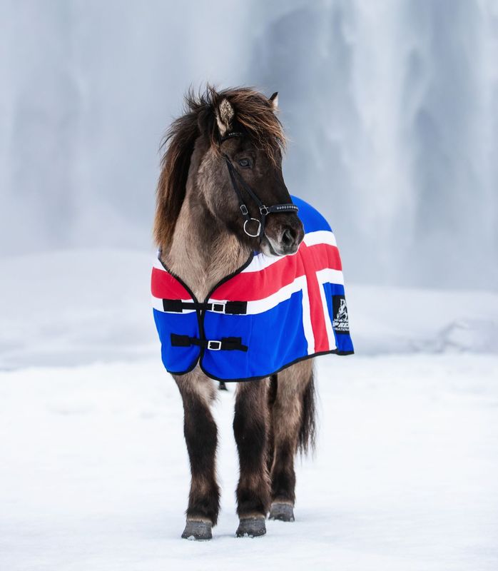 Top Reiter Fleece Rug ICELAND