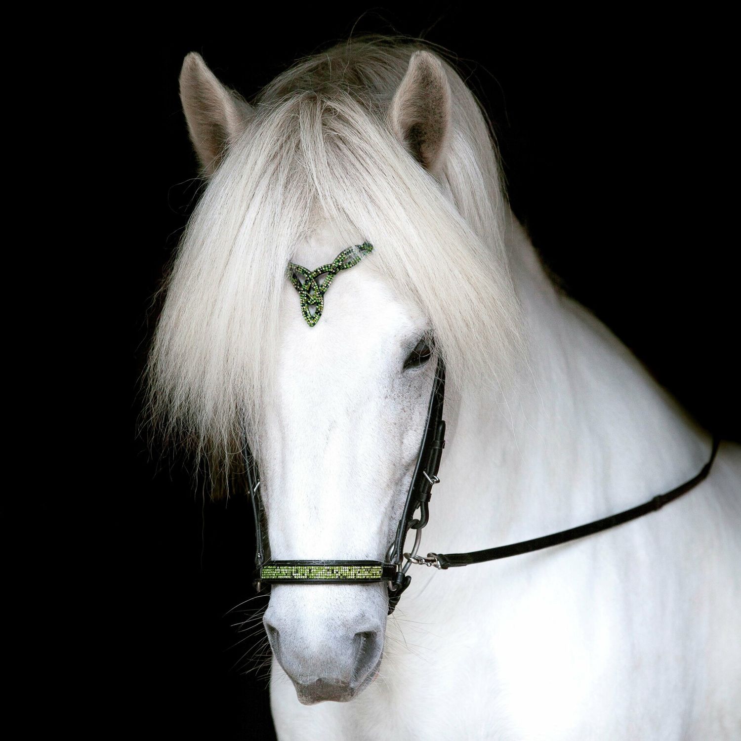 Hrimnir Drop Noseband Aurora