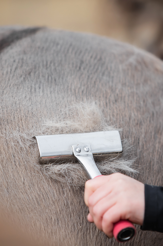 Top Reiter Curry Comb w/Grip