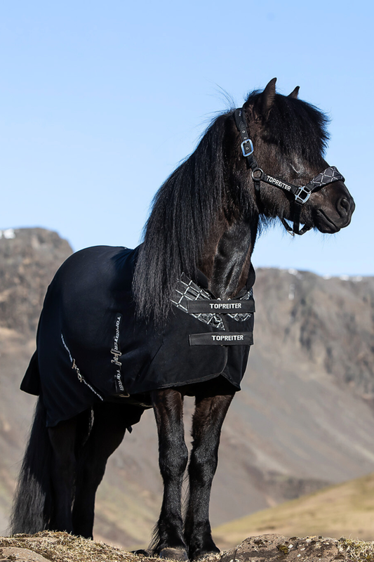 Top Reiter KLAKI Cooler