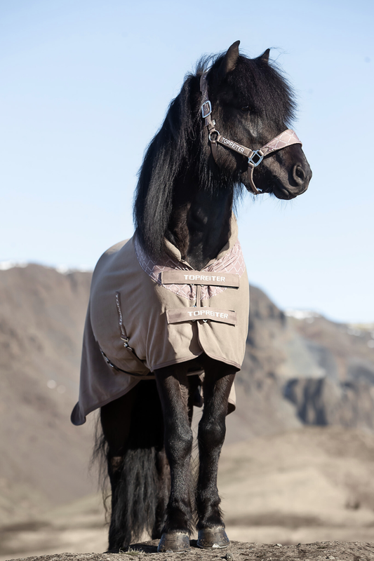 Top Reiter KLAKI Cooler
