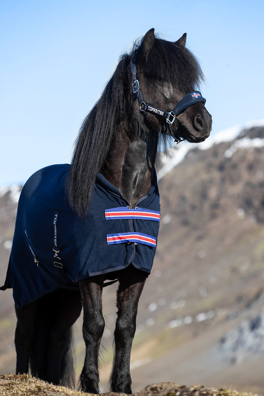 Top Reiter KLAKI Cooler